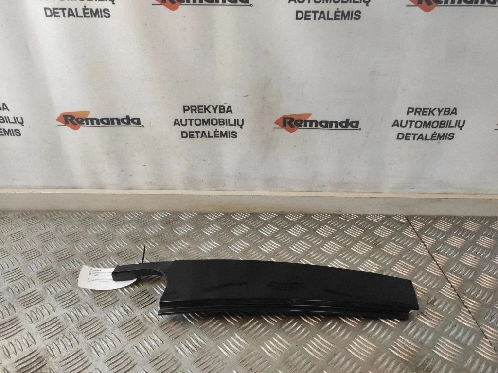 Aizmugurējo durvju stikla apdare 9800620
