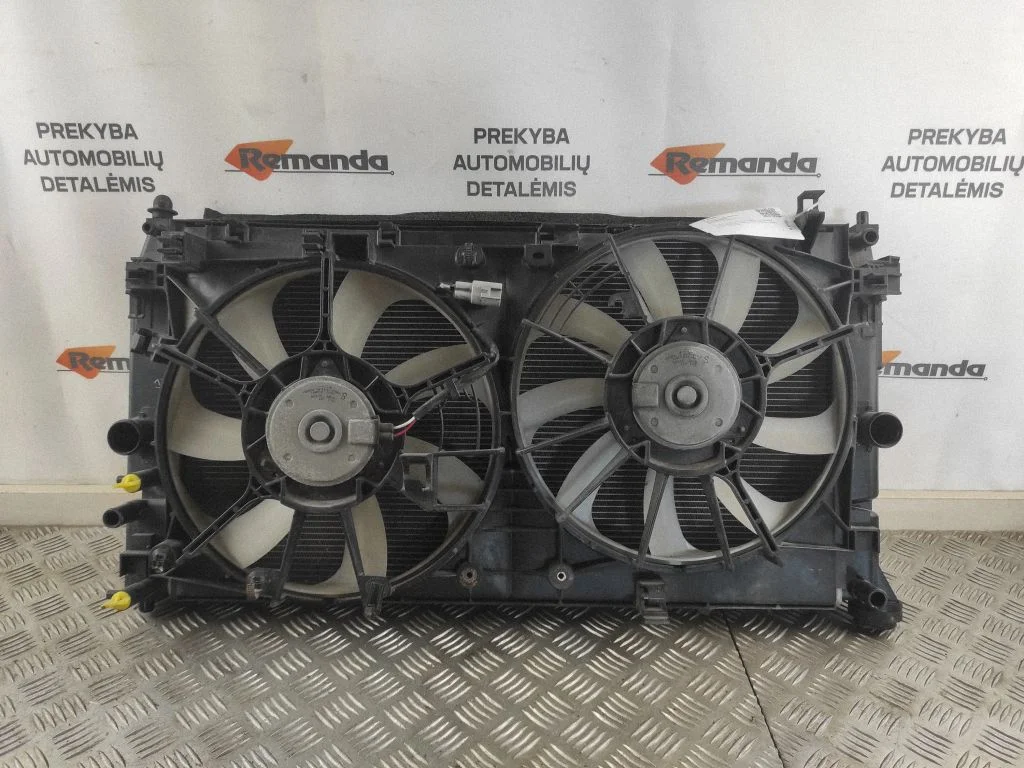 Radiatoru komplekts 4221356021