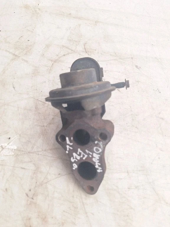 EGR termostatas