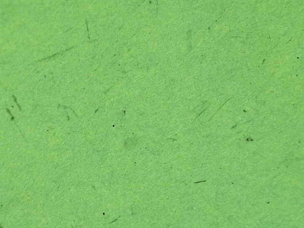 Rankinio atleidimo rankenėlė