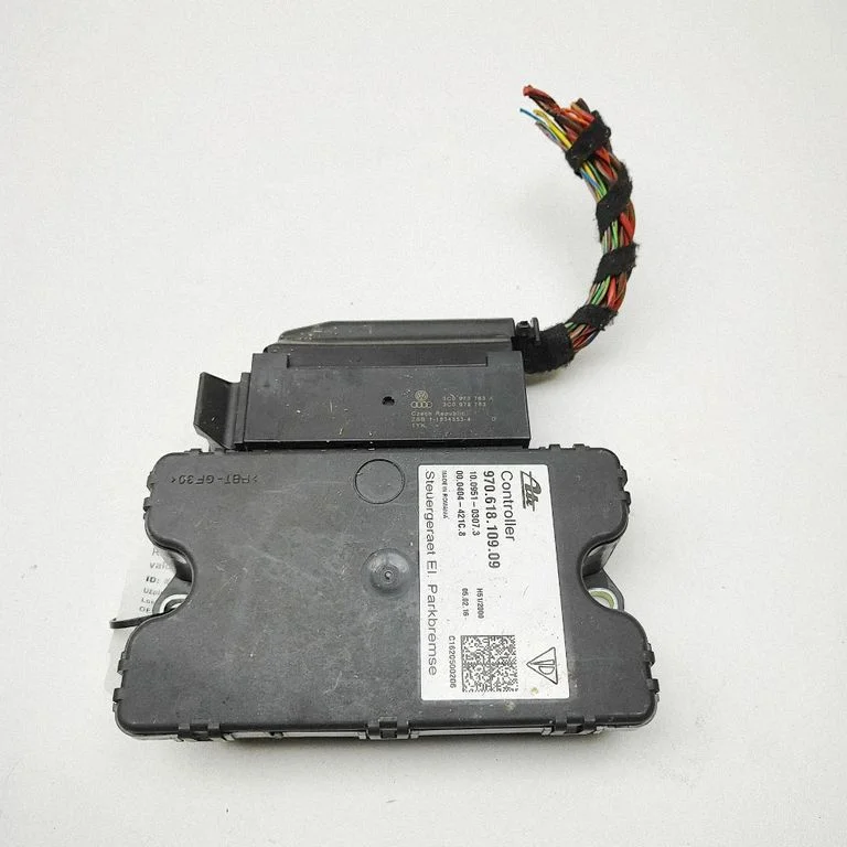 Galinių stabdžio (EMF) valdymo blokas
