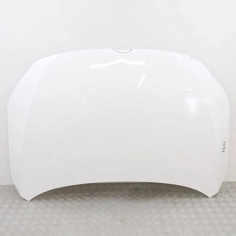 Engine bonnet/hood 10230176SEPP