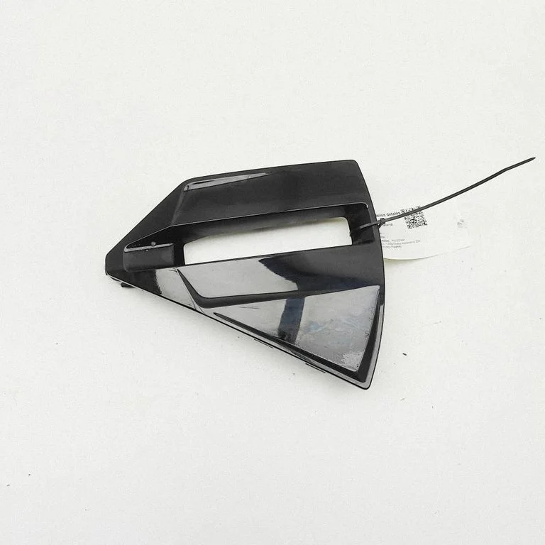 Originalus R20 rato gaubtas (-ai)