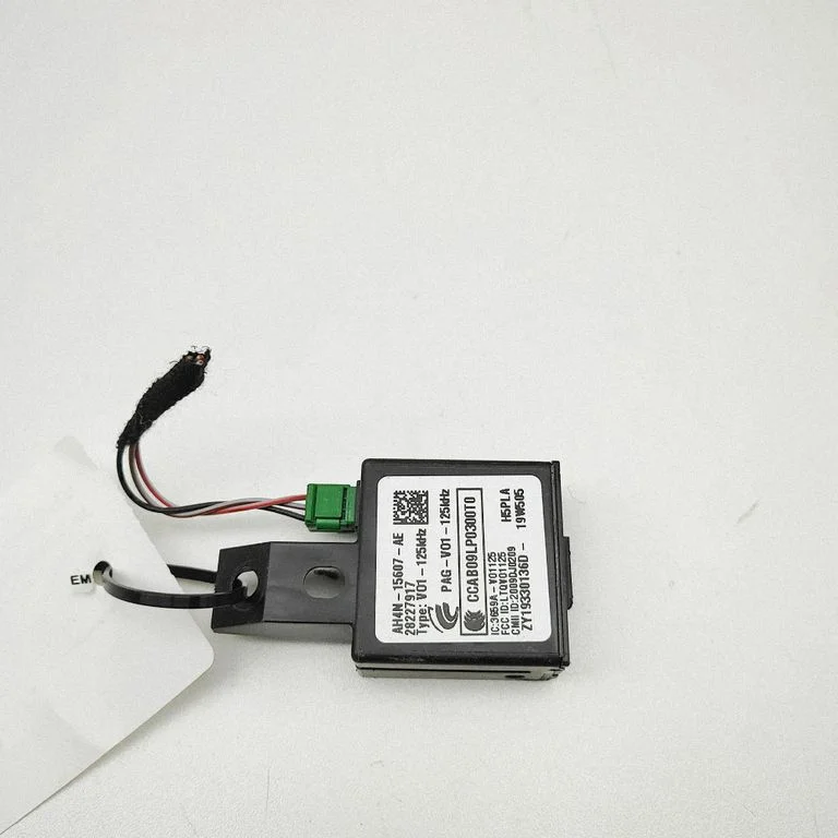 Beraktės sistemos KESSY (keyless) valdymo blokas/ modulis