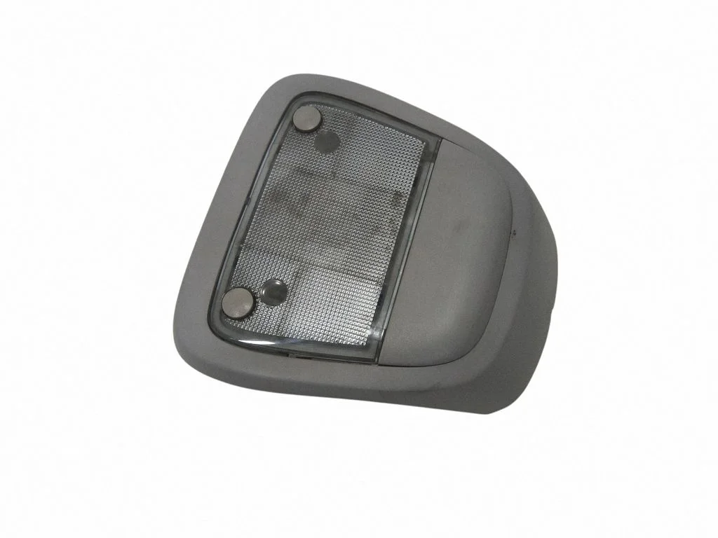 Front seat light 273893313
