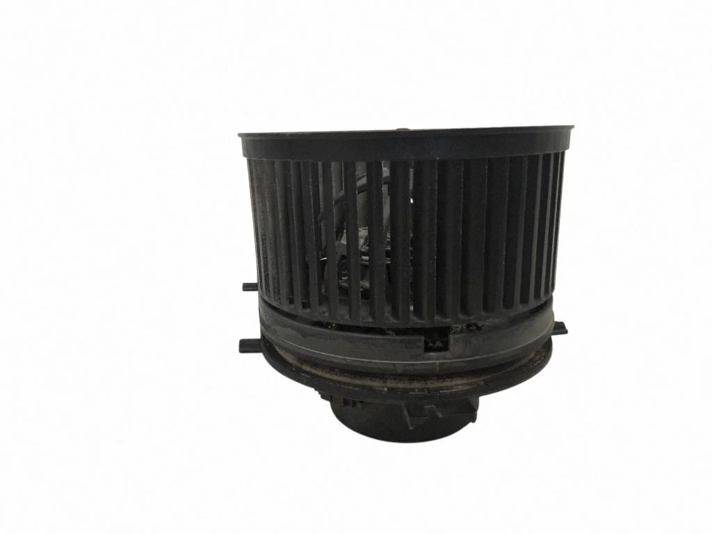 Salongipuhur 1J1819021C