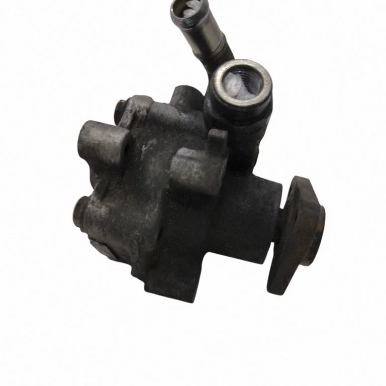 Roolivõimendi pump – eesmine