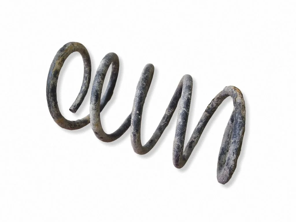 Rear coil spring