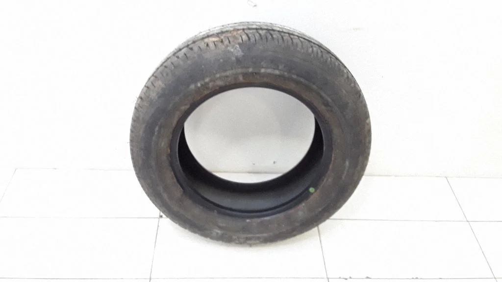 R15 vasarinės padanga (-os)
