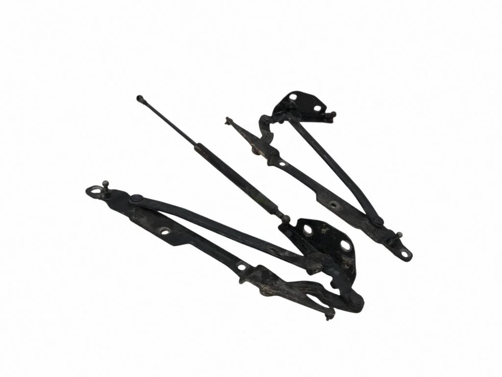 Tagaluugi hing – tagumine