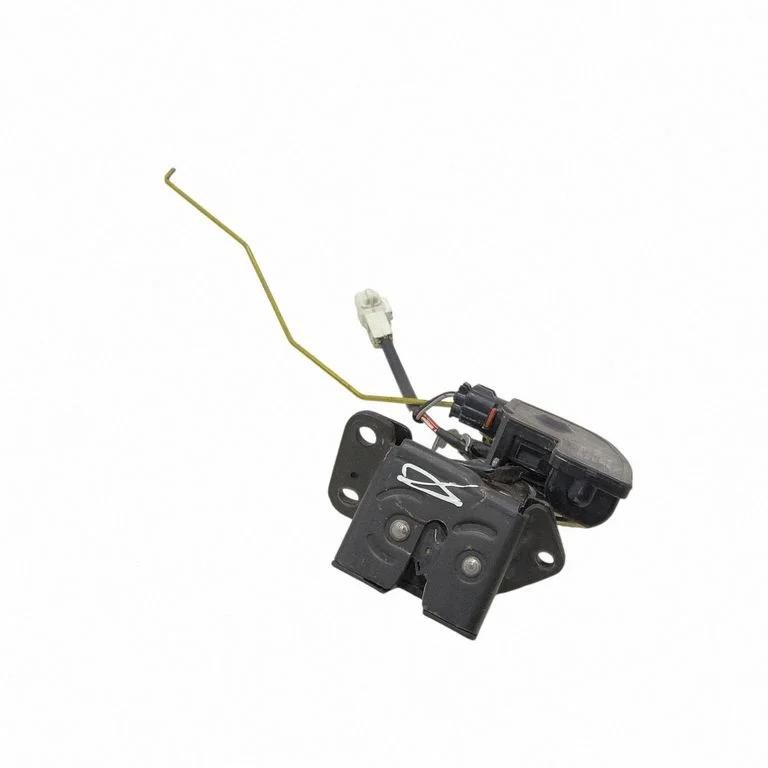 Tailgate/trunk/boot lock/catch/latch 101523300