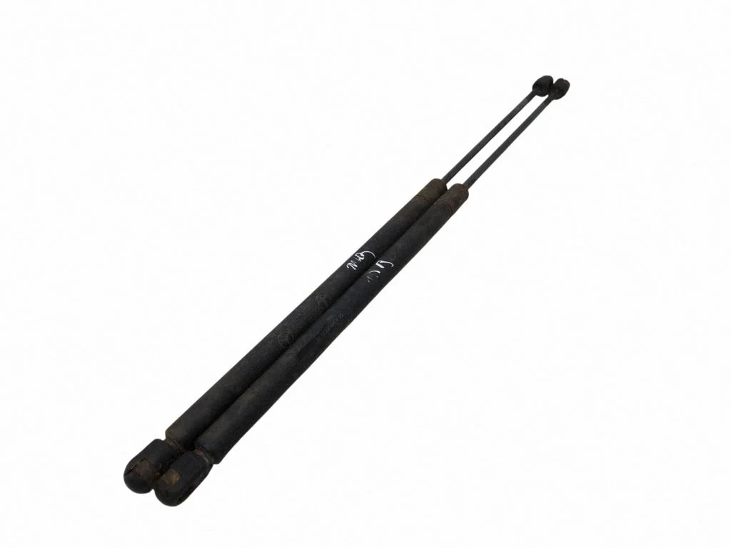 Tagaluugi gaasiamortisaator 2039800164