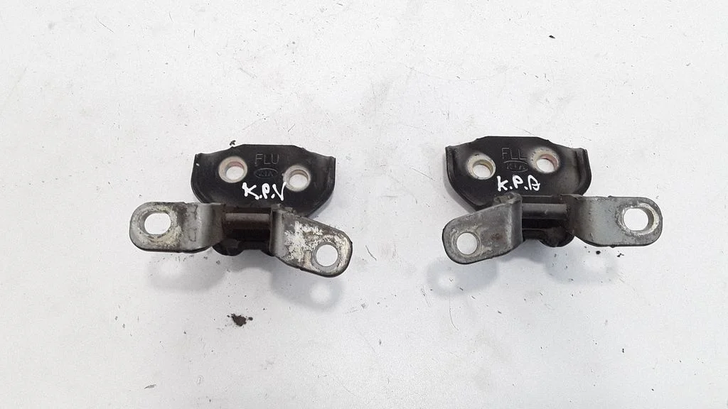 Front door hinges set – left