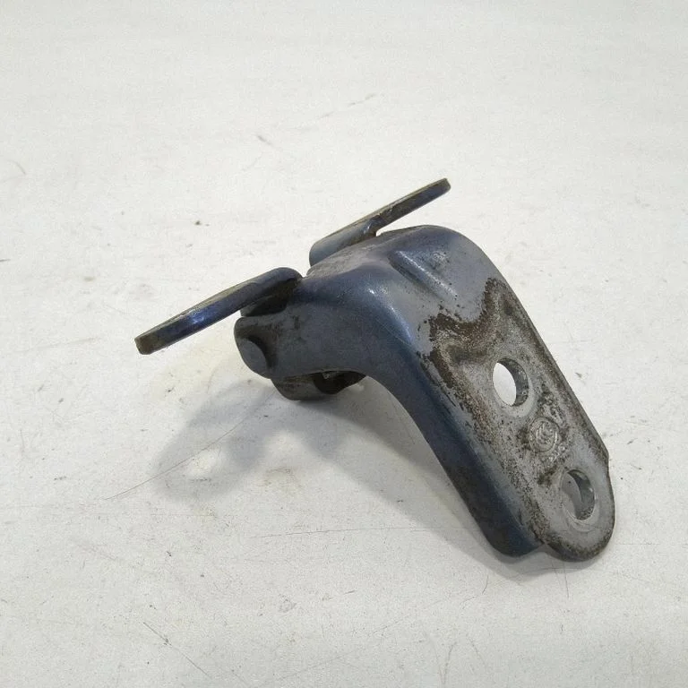 Rear door lower hinge 1120075