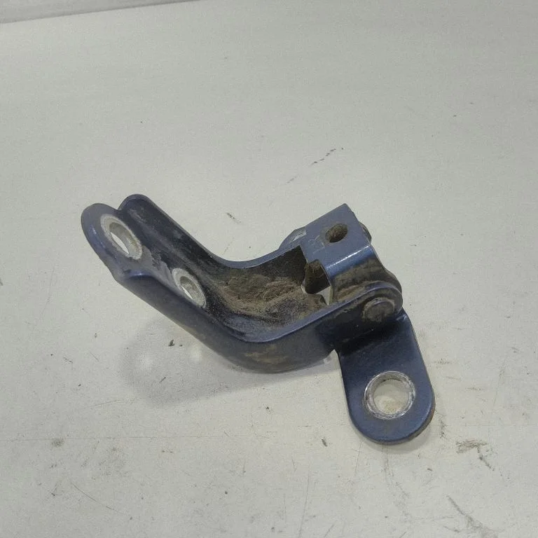 Rear door lower hinge 1120075