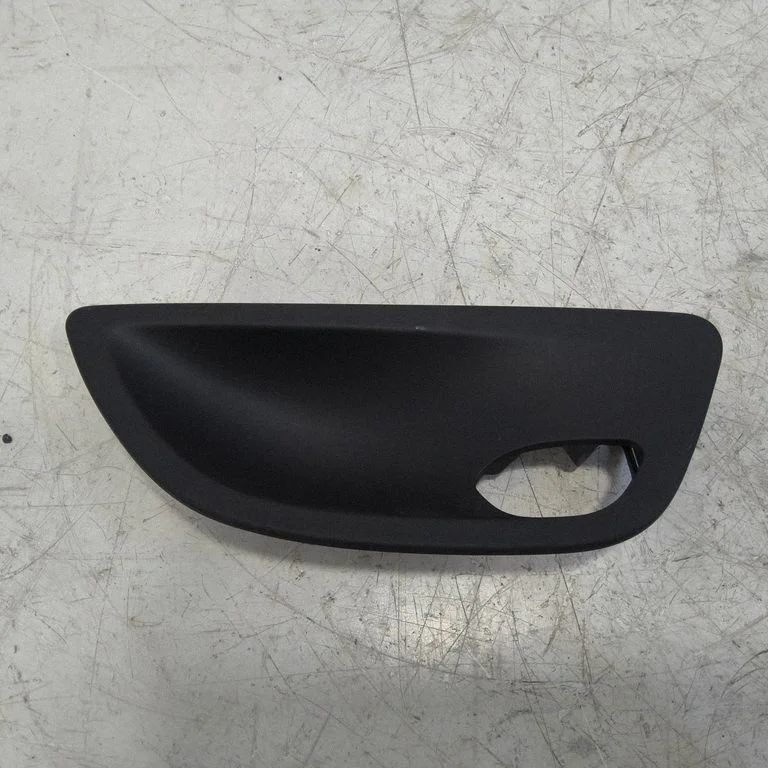 Other rear door trim element 1811693