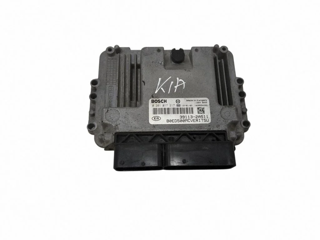 Sterownik silnika 391132A511