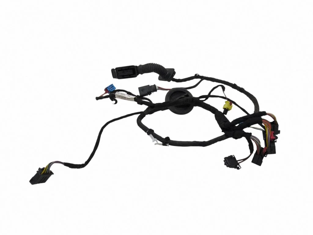 Front door wiring loom 5F4971029BS