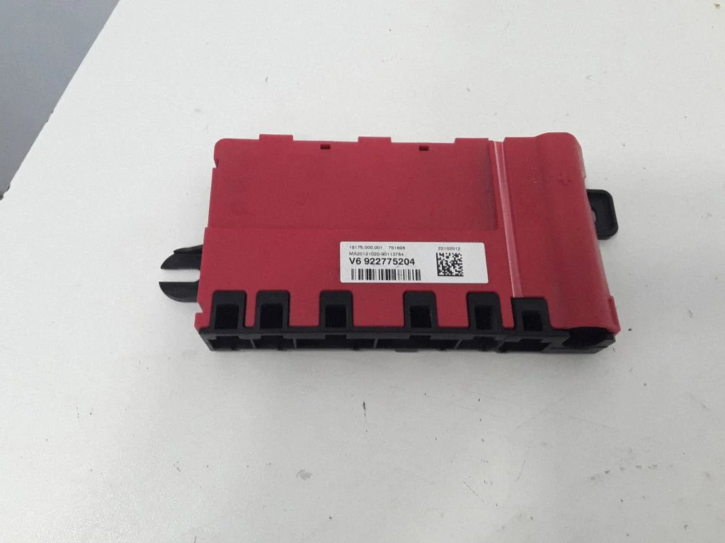 Positive wiring loom 10688710