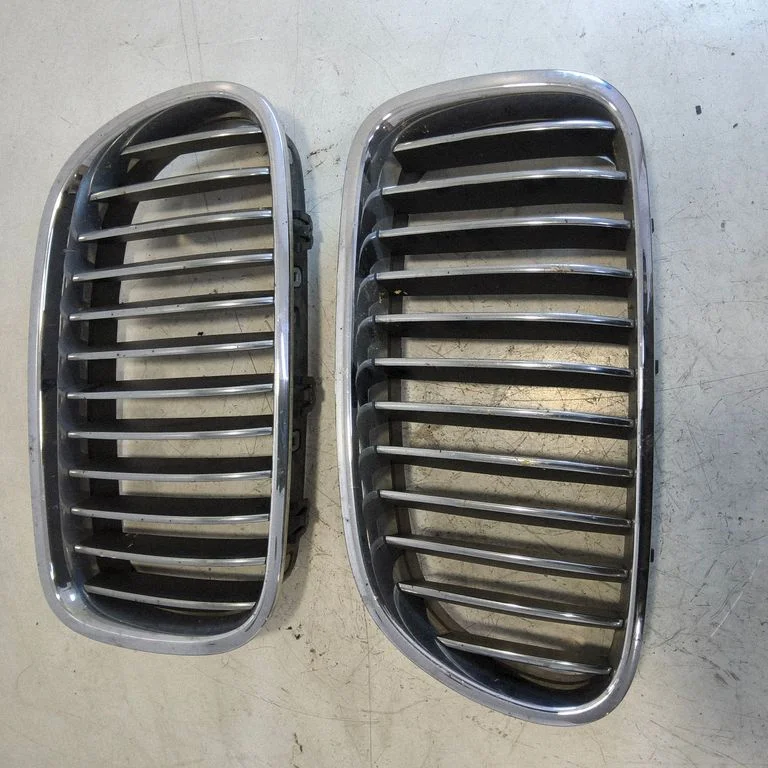 Front grill 51137200727