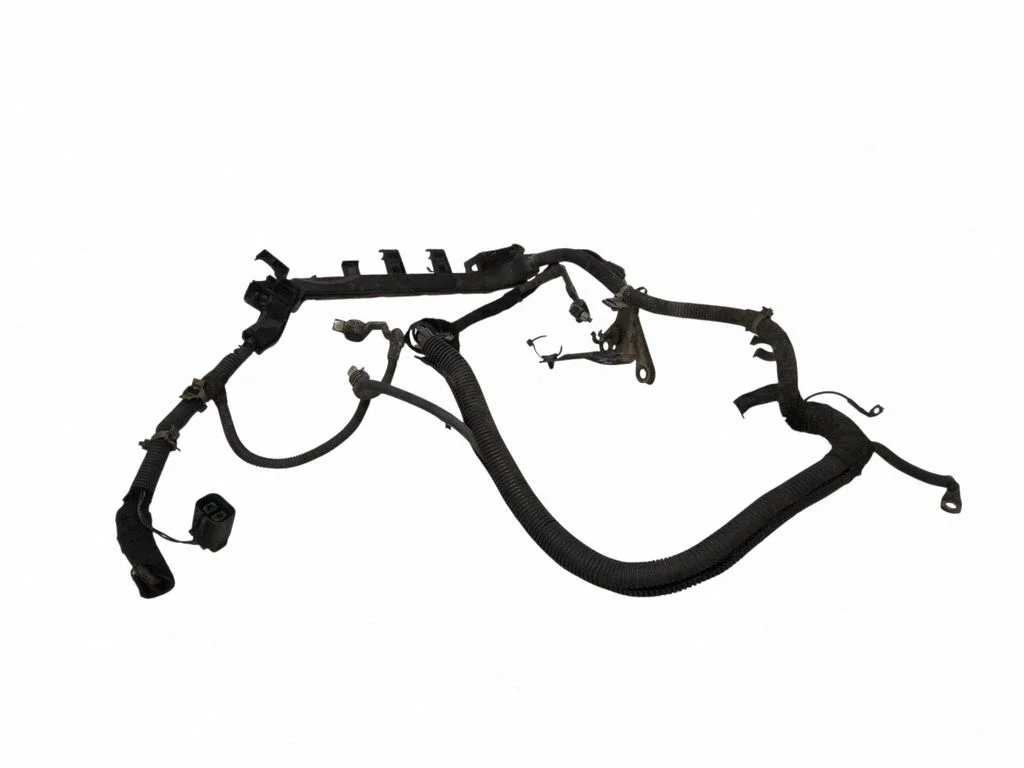 Engine installation wiring loom 55559495