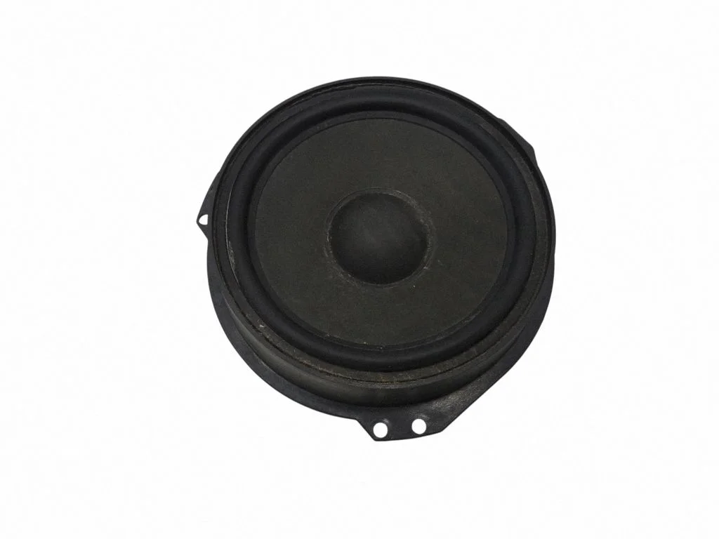 Rear door speaker 9175188
