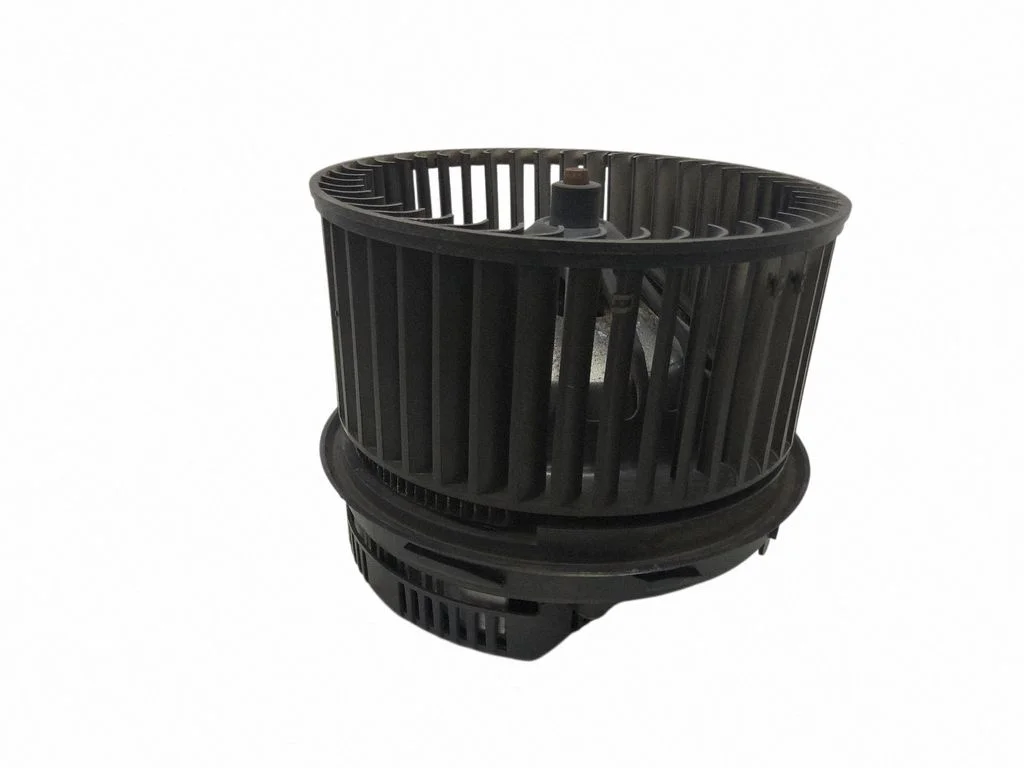 Krāsniņas ventilators/pūtējs 4M5H18456