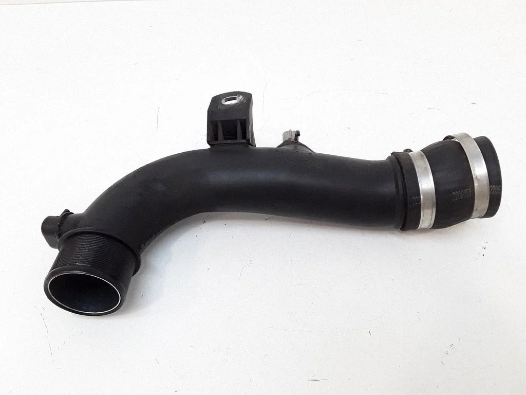 Intercooler hose/pipe 173620R010