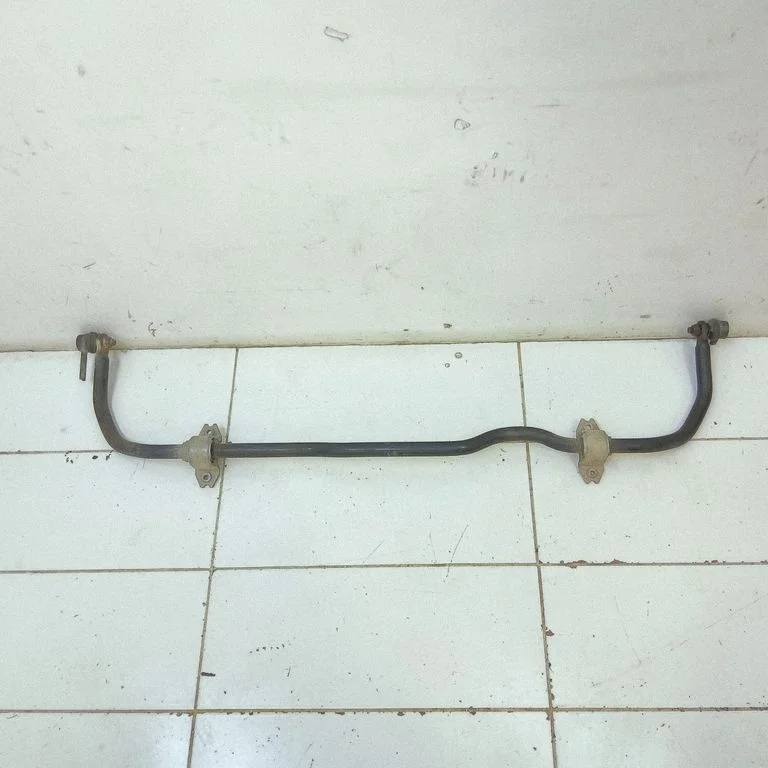 Eesmine stabilisaator (kaldevarras)