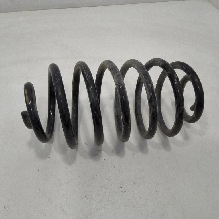 Rear coil spring