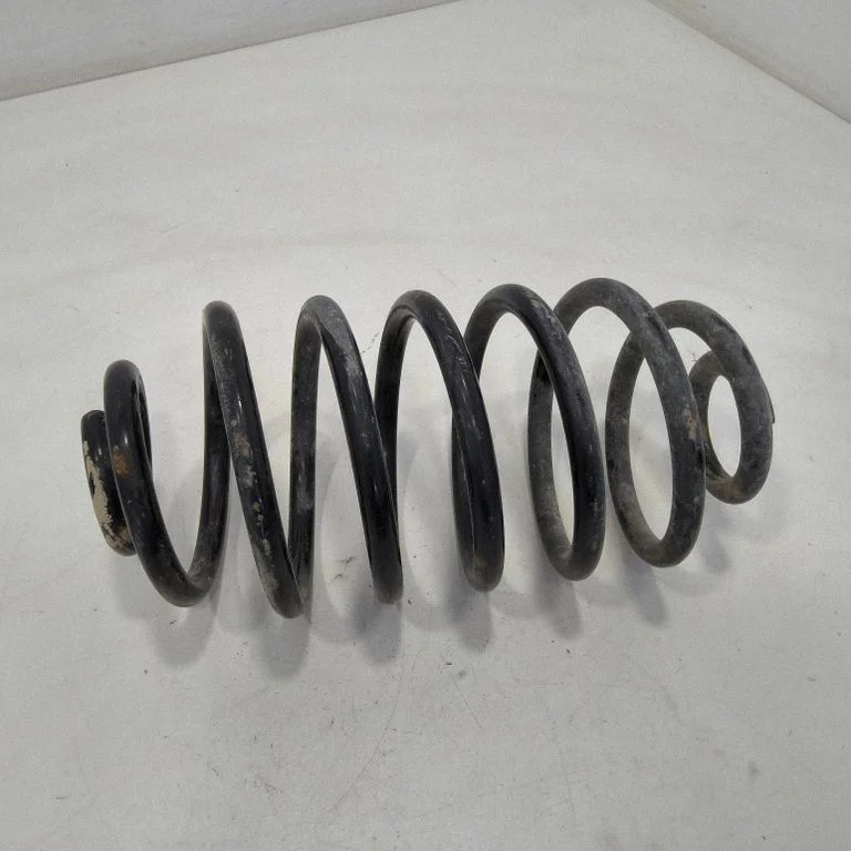Rear coil spring