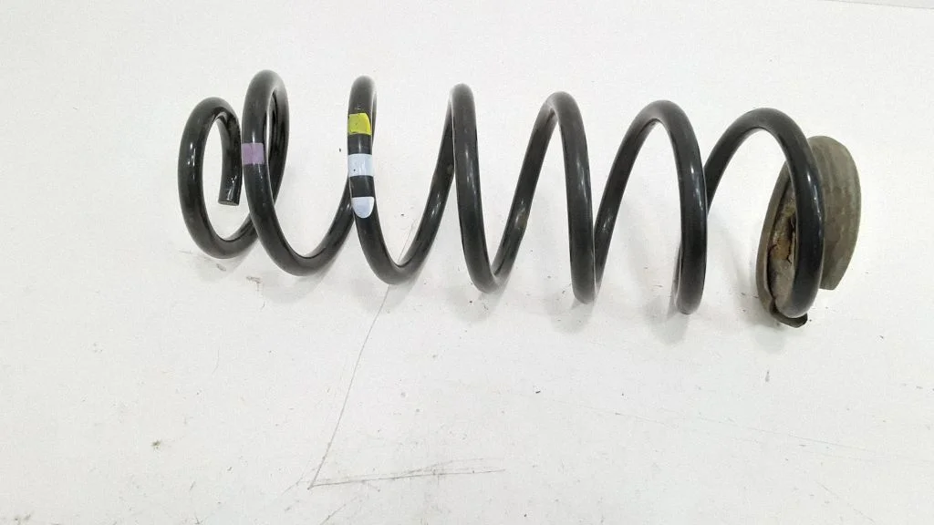 Rear coil spring
