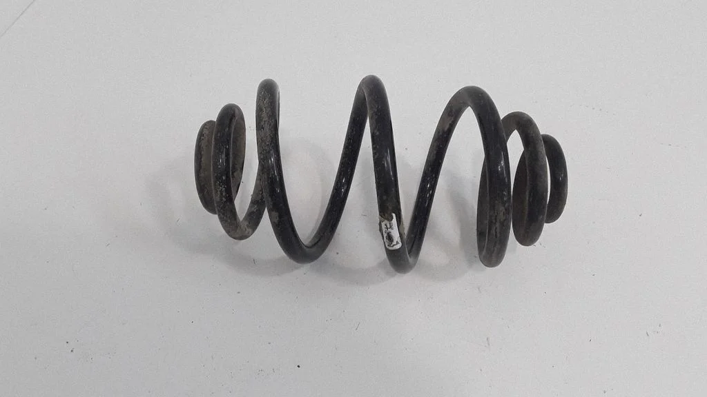 Rear coil spring