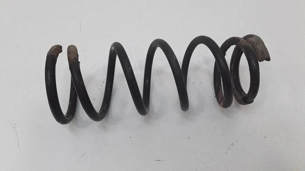 Rear coil spring