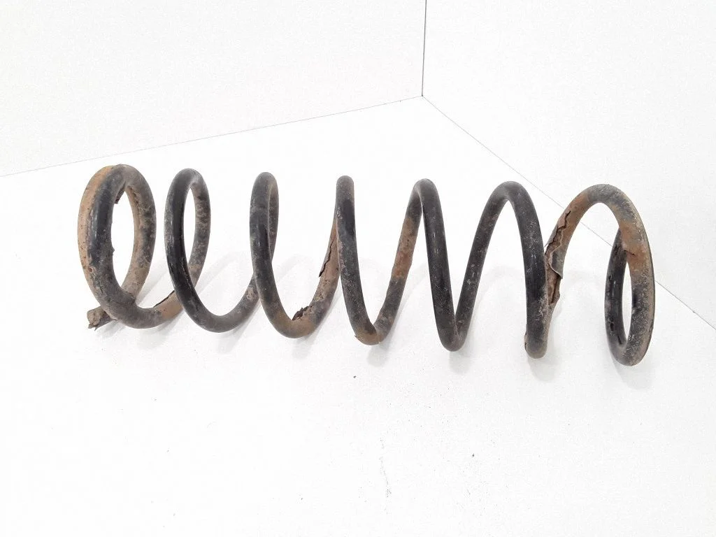 Rear coil spring