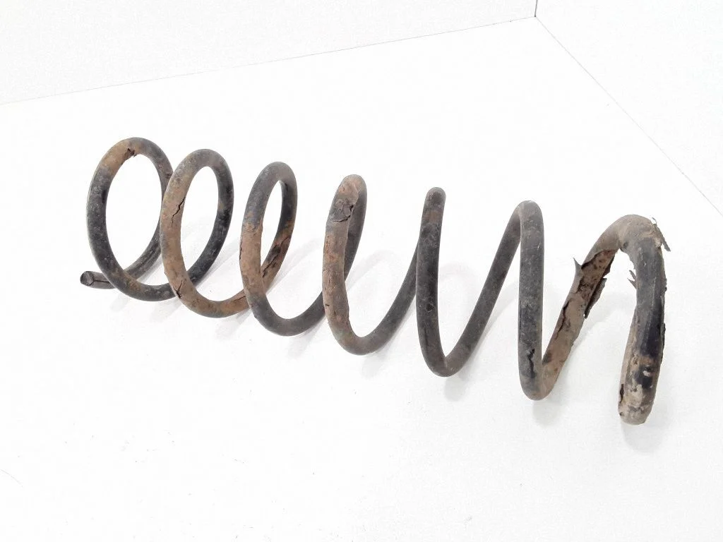 Rear coil spring