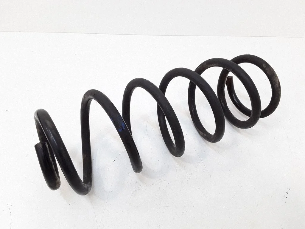 Rear coil spring