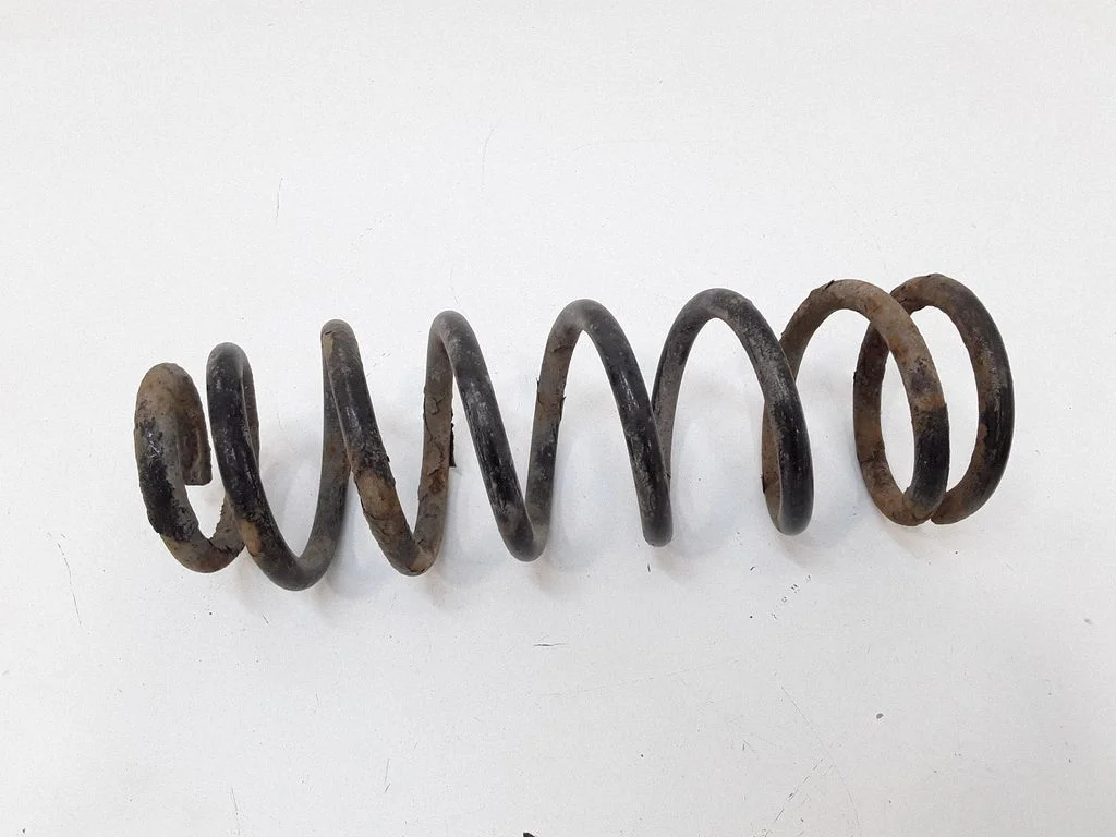 Rear coil spring