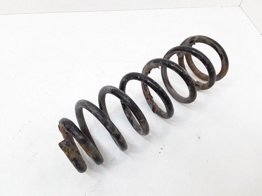 Rear coil spring