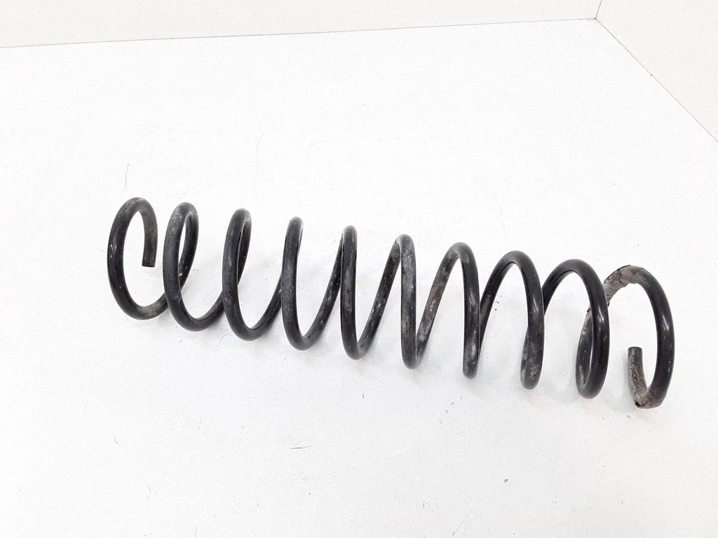 Rear coil spring