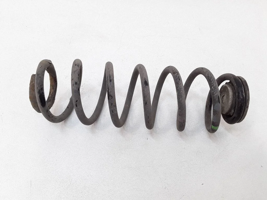 Rear coil spring