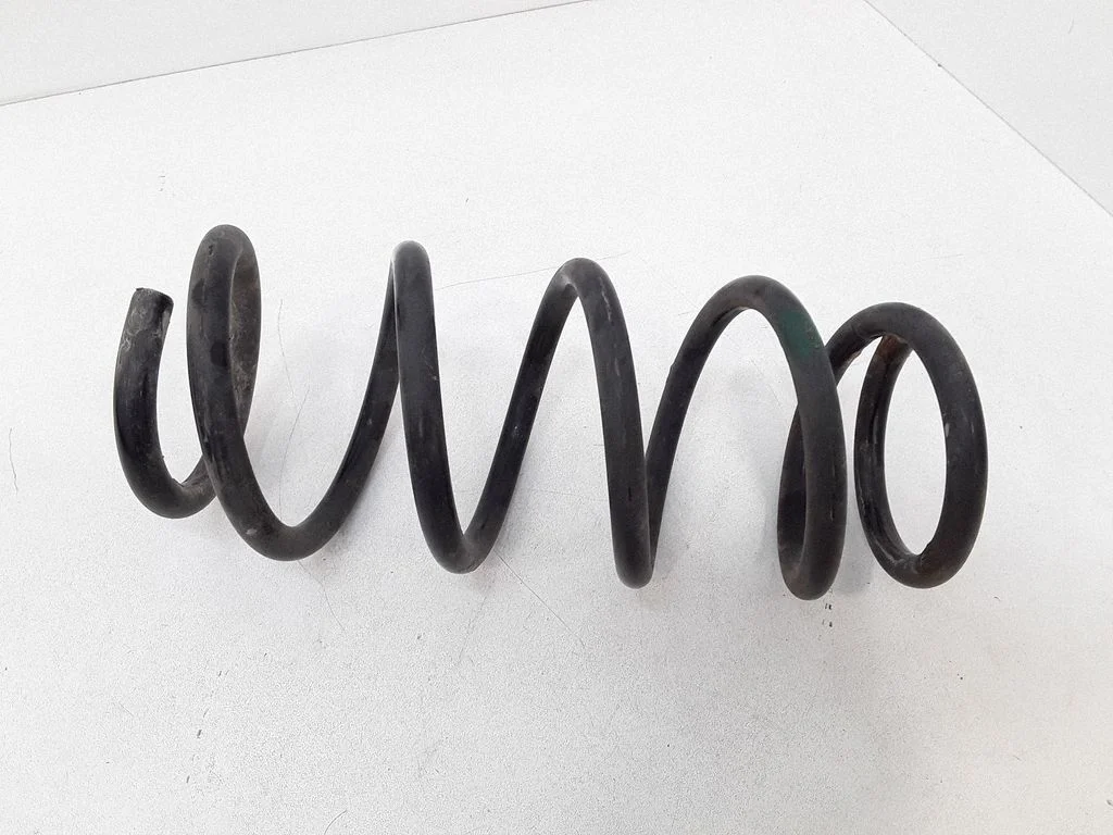 Rear coil spring