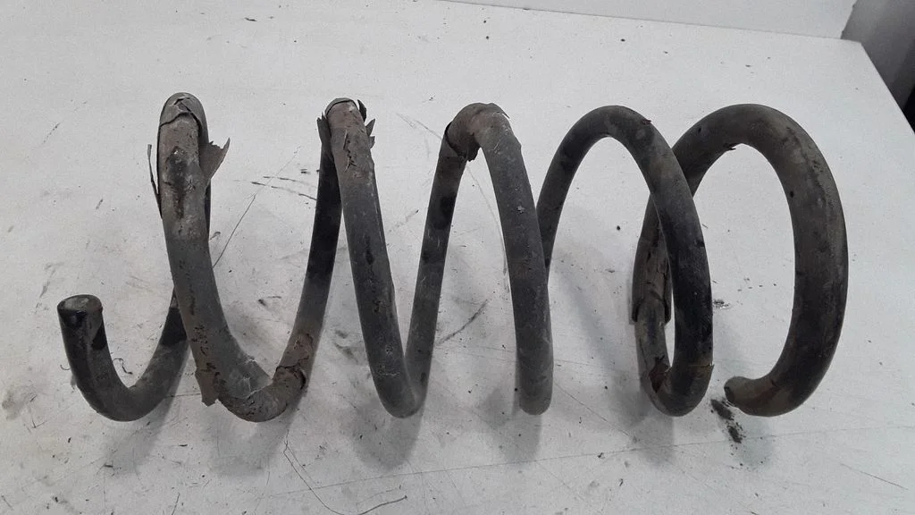 Rear coil spring
