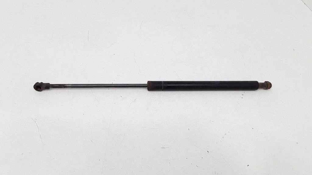Tailgate/trunk strut/damper