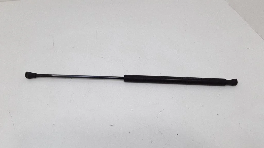 Tailgate/trunk strut/damper