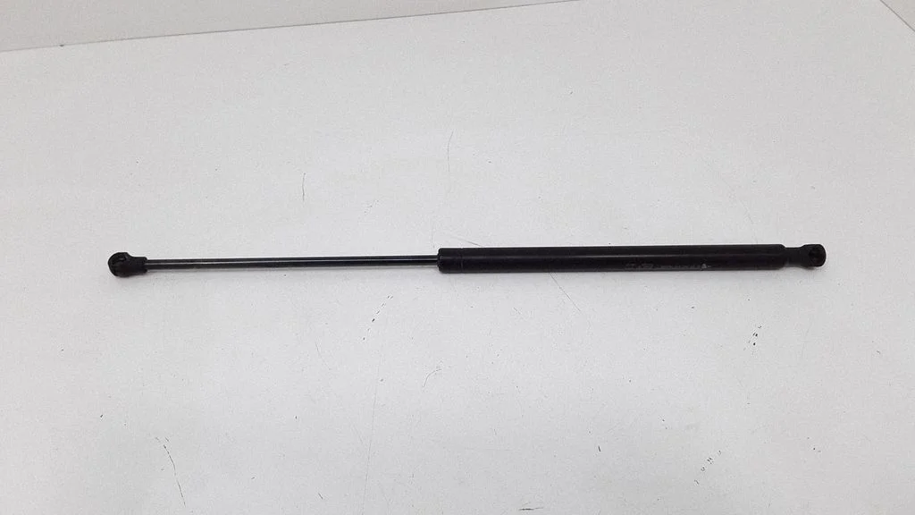 Tailgate/trunk strut/damper