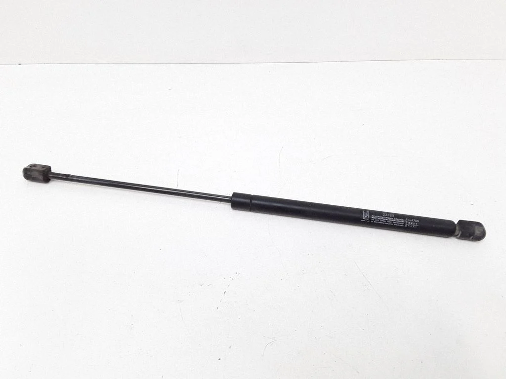 Tailgate/trunk strut/damper