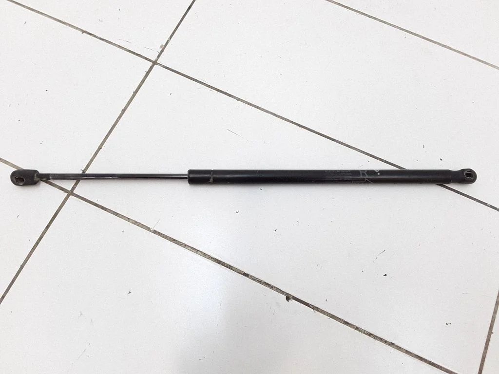 Tailgate/trunk strut/damper 689500F011