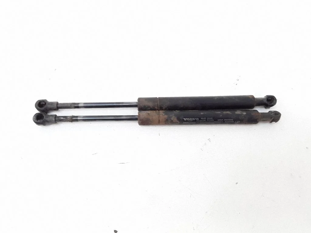 Tailgate/trunk strut/damper