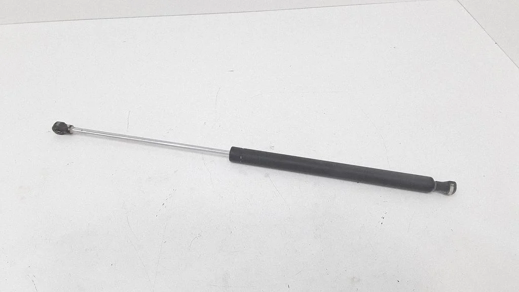 Tailgate/trunk strut/damper